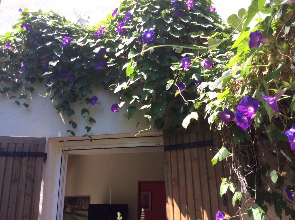 La Roseraie Camarguaise Apartment Arles Exterior photo